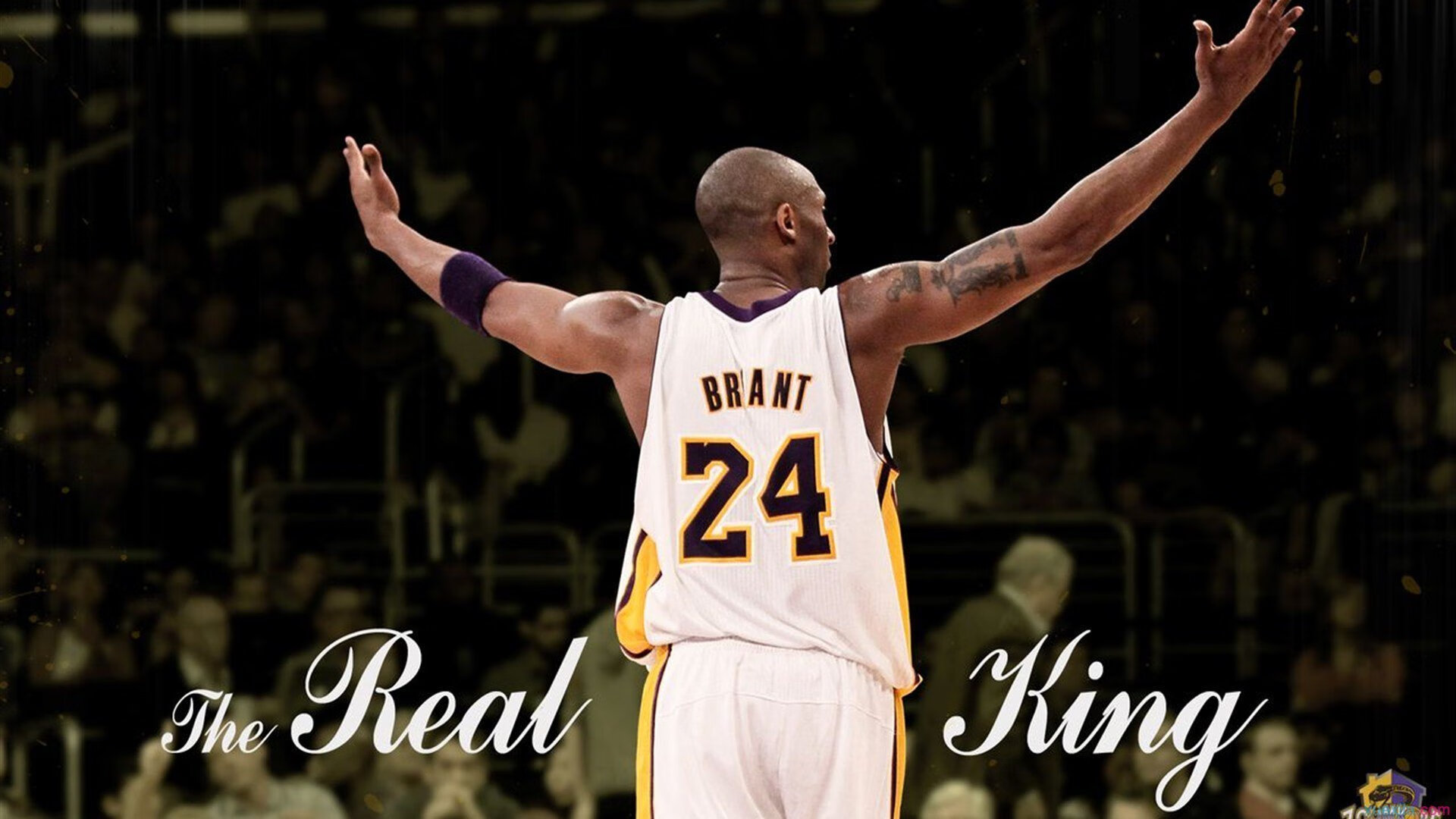 约翰·恩多耶-布鲁阿尔泳姿流畅技术细腻